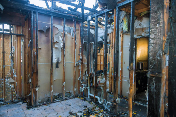 Professional Smoke Odor Removal technician working in Wrightstown, NJ