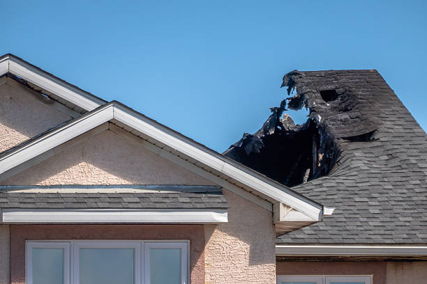 Top rated local Smoke Odor Removal specialists in Wrightstown, NJ